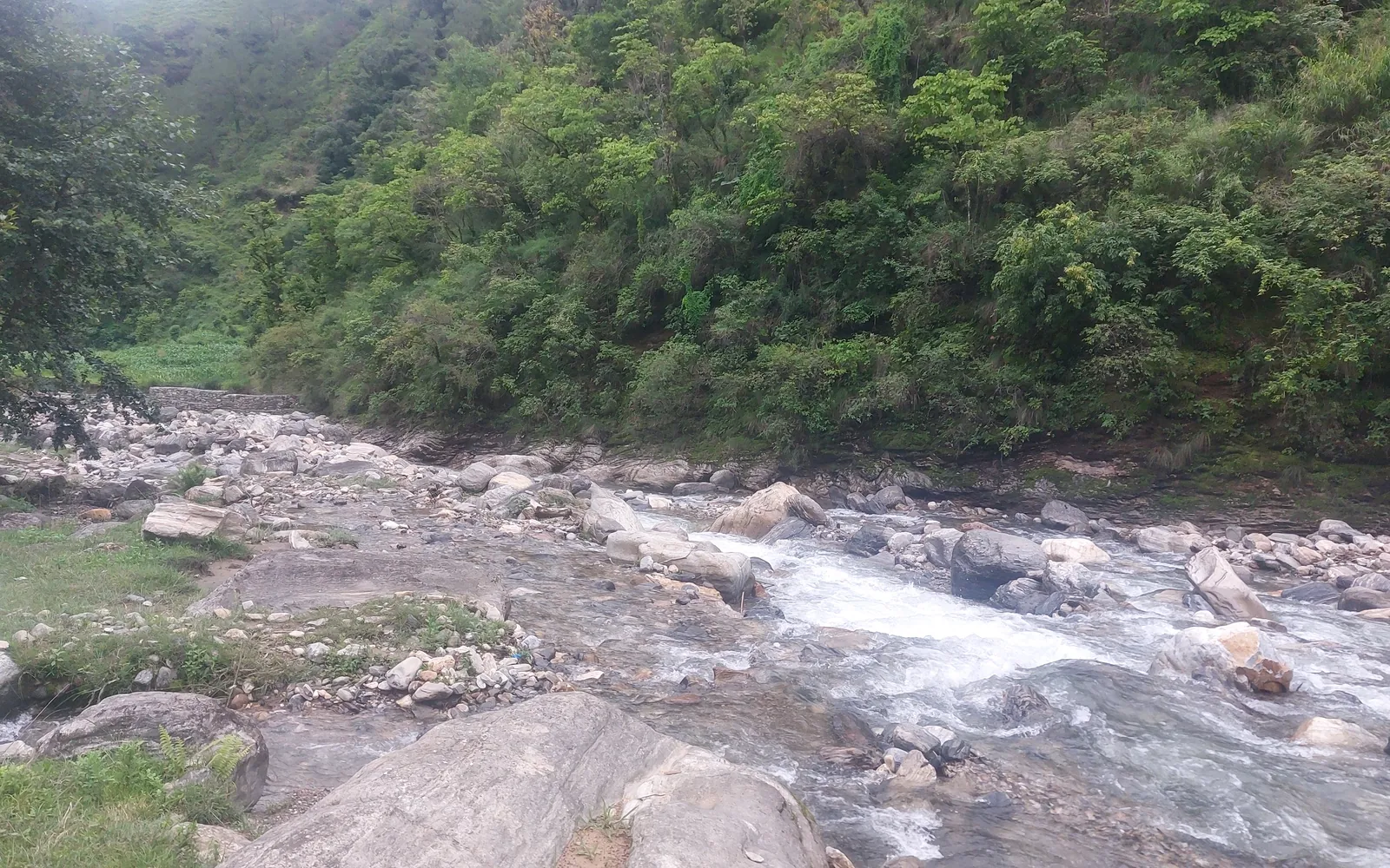 Gaja Khola flowing over a rocky riverbed beneath forested slopes